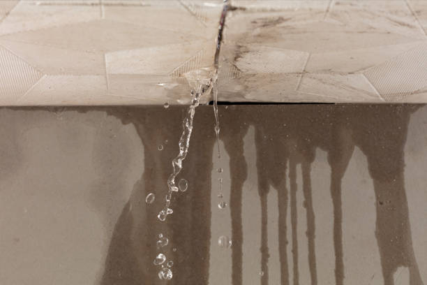 Professional Water Damage Inspection technician working in Litchfield, NH